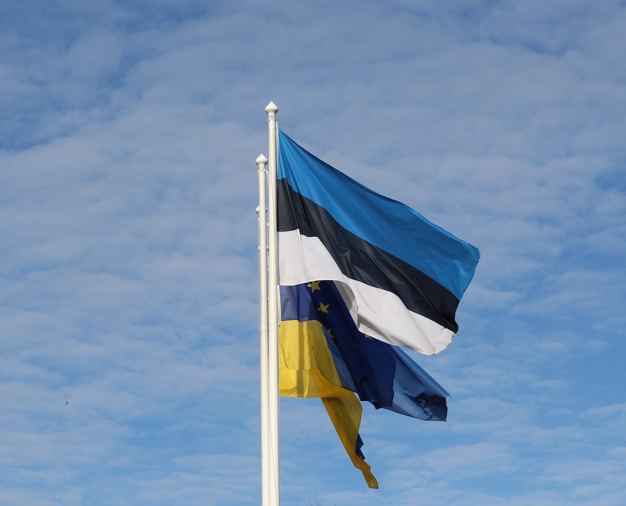 Estonia Work Visa For Nigerians Application Guide estonia-work-visa-for-nigerians-application-guide