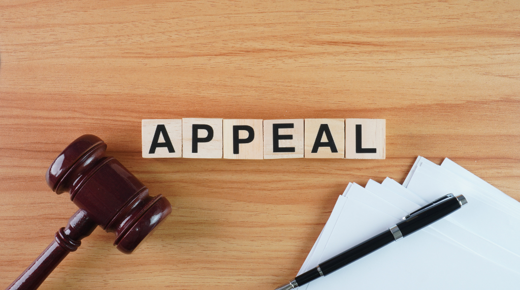 Explore the Spain visa appeal processing time, factors influencing it, and tips for a successful appeal, Frequently Asked Questions