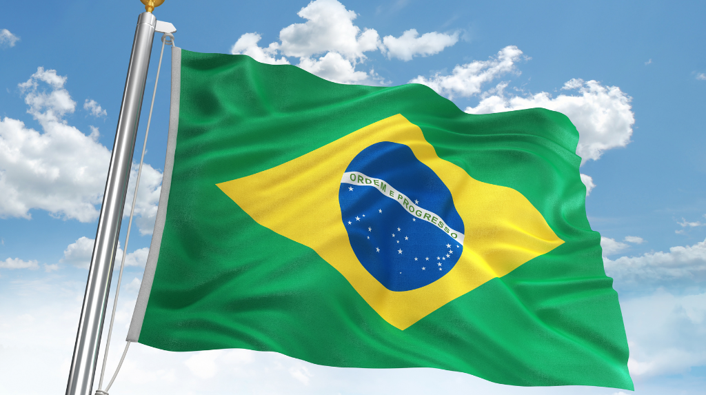 Comprehensive guide to Brazil visa process. Understand requirements, application steps, and tips for a seamless experience