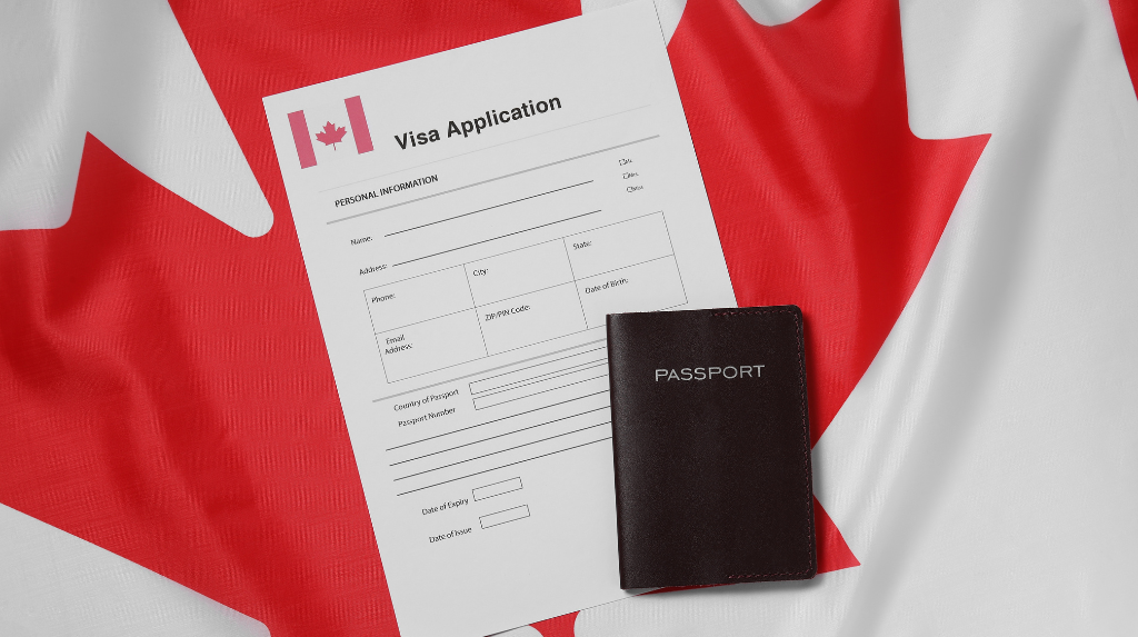 TN Visa Process for Canadian Professionals in the U.S.