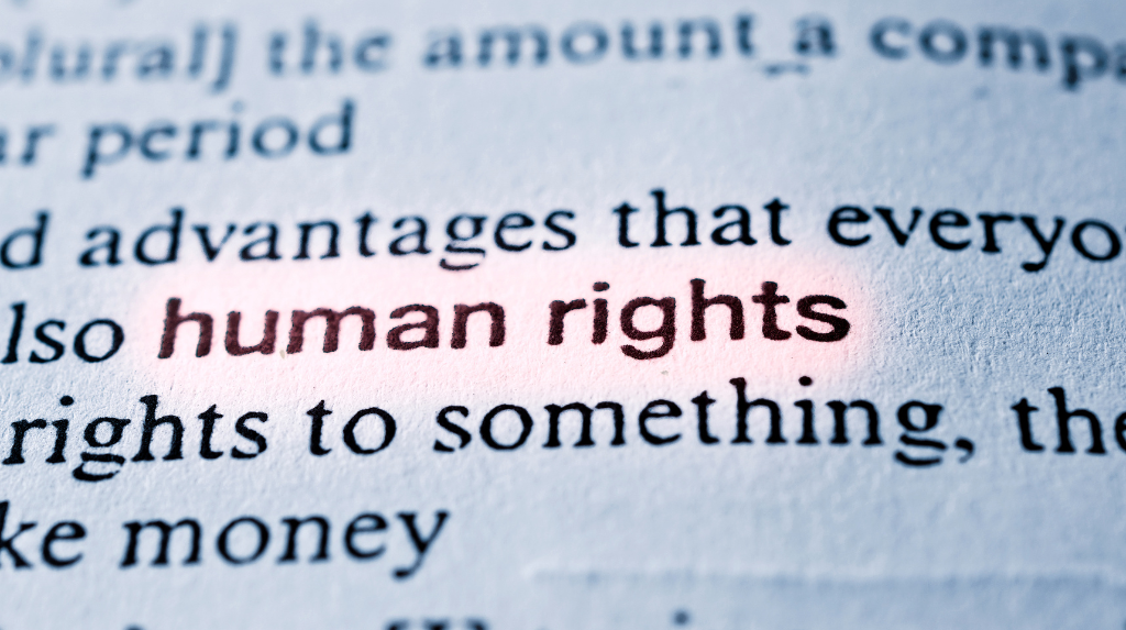 Human Rights & UK Immigration: How Article 8 Can Help