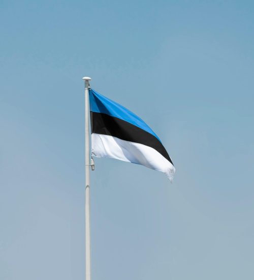 Tallinn's Estonian flag waving against a bright blue sky, showing national pride.